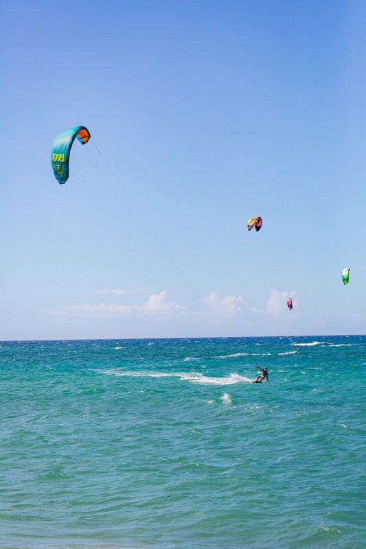 20180819-GC1A0016.jpg
